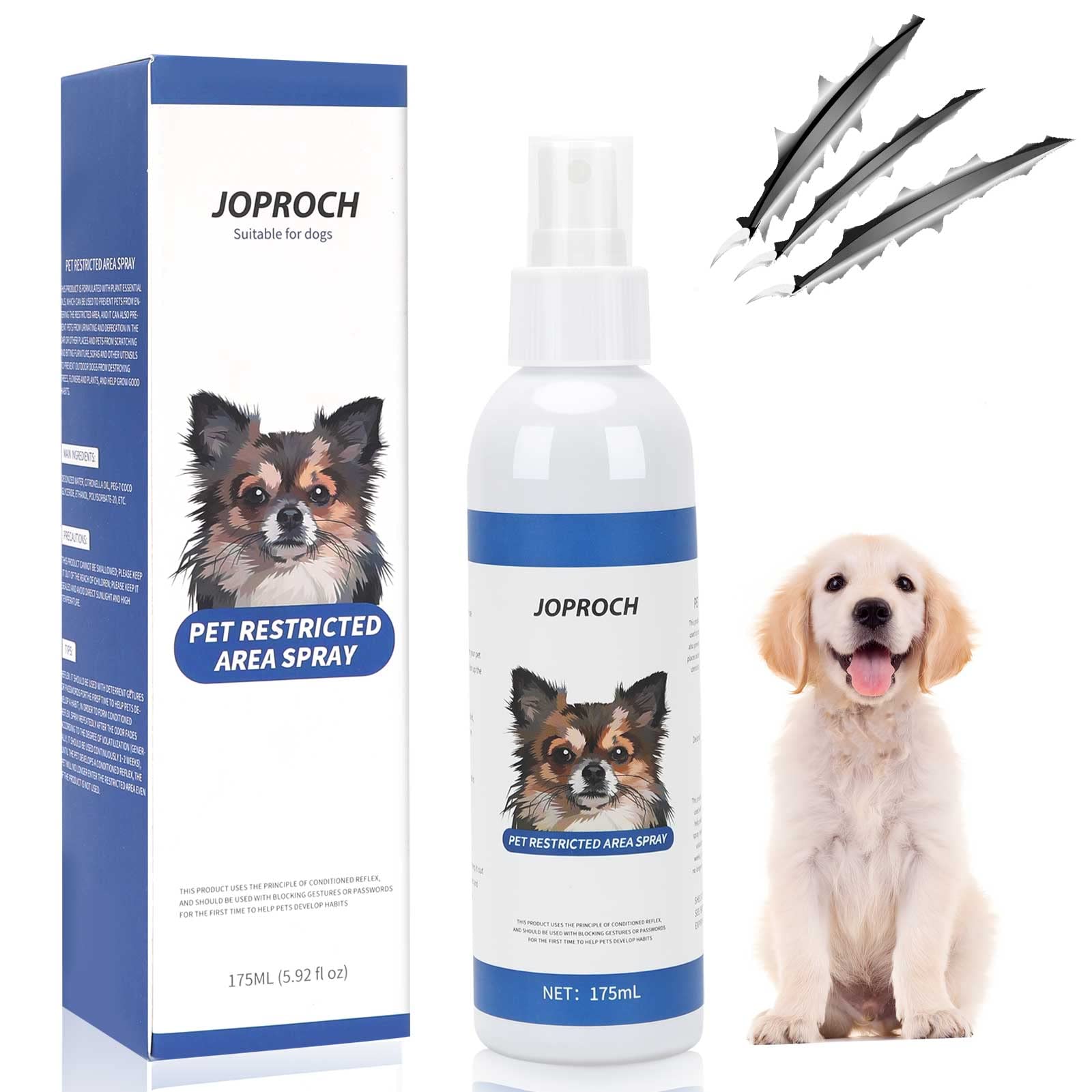 What Does The Dog In Coco Turn Into