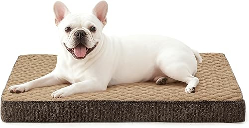 Miniatura 12 de JOEJOY Camas XL para perros de tamaño grande, cama ortopédica para perros grandes con funda extraíble lavable, camas extra gruesas de espuma