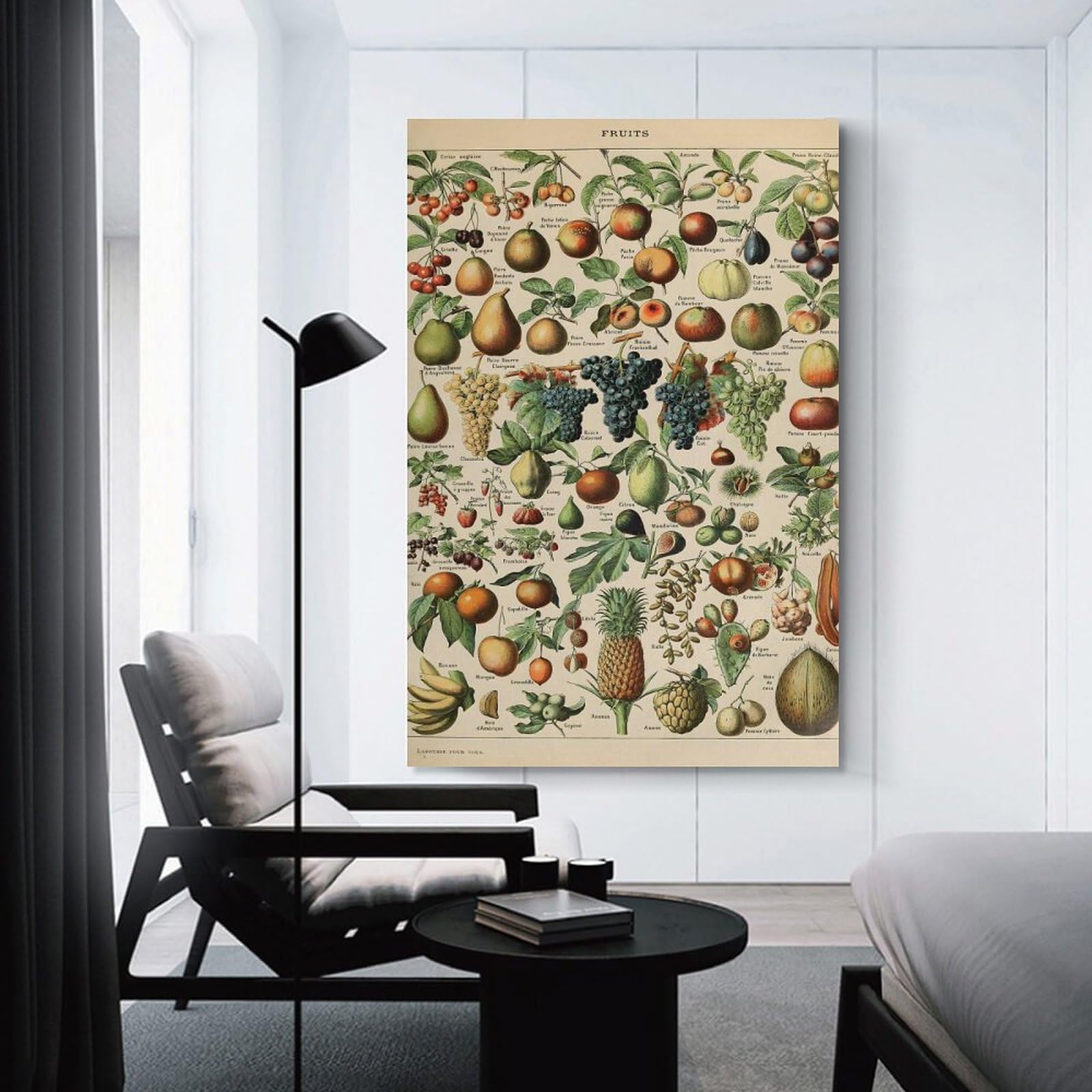 Junmoney Canvas Wall Picture FRUITS by Adolphe Millot, 20x30inch(50x75cm), for Study, Office Or Focused Interiors, Wall Art That Adds Style to Work Areas