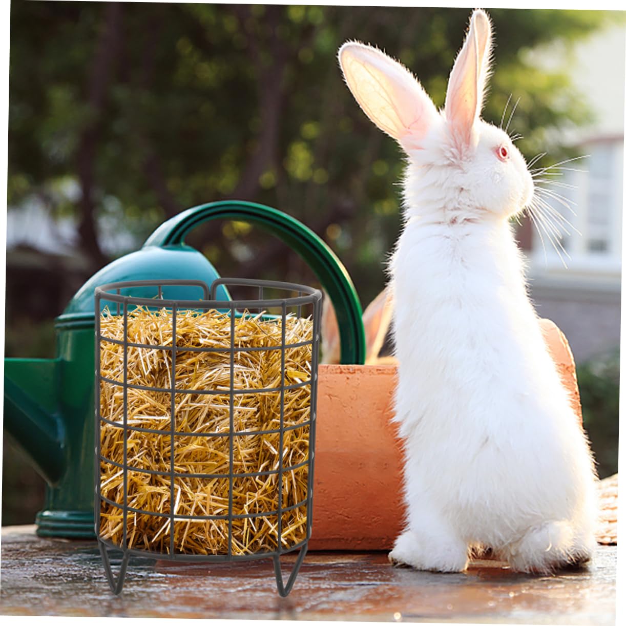 Toddmomy Distributeur de Foin en Fer Noir pour Lapins et Chinchillas, Mangeoire Stable et Solide, Lot de 2 Pièces pour Usage Quotidien en Cage