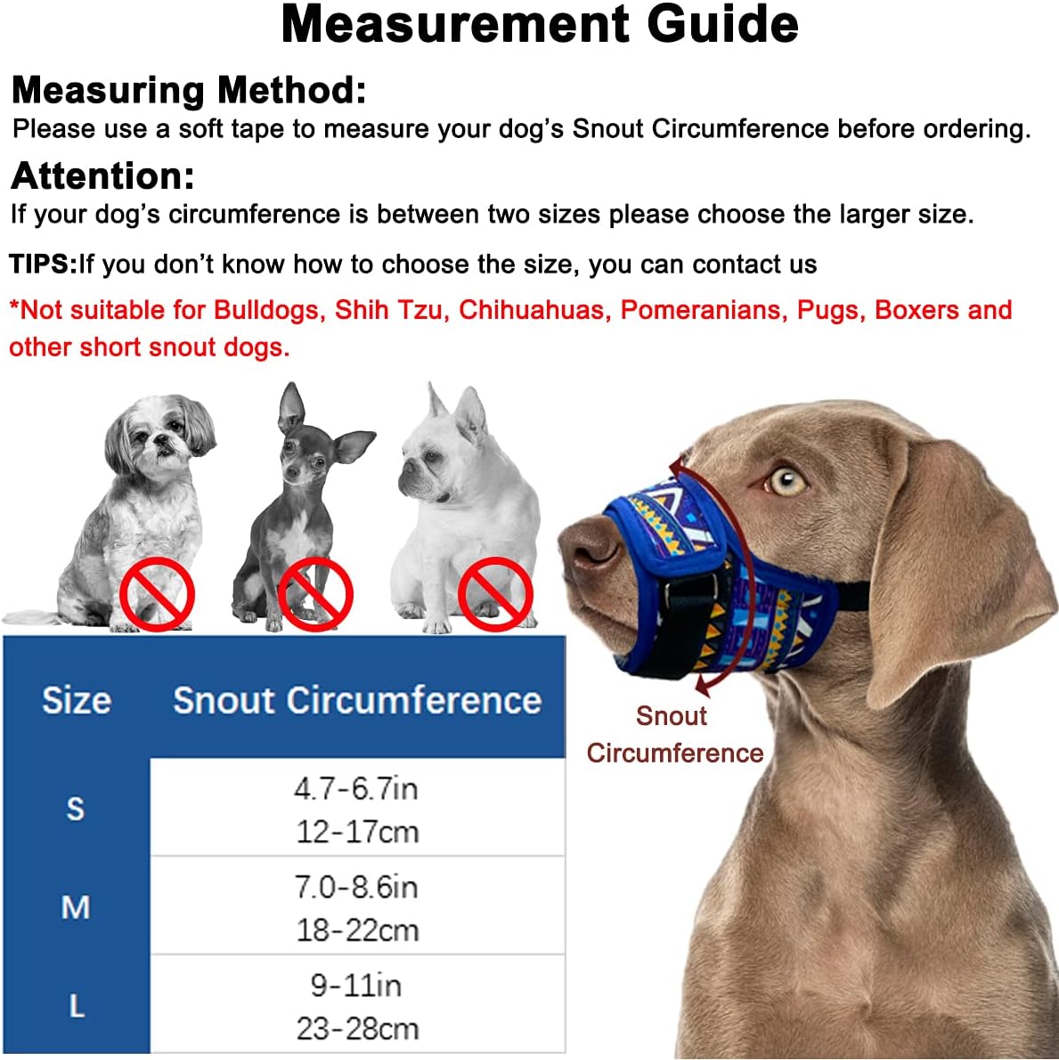 measuring a dog for a muzzle
