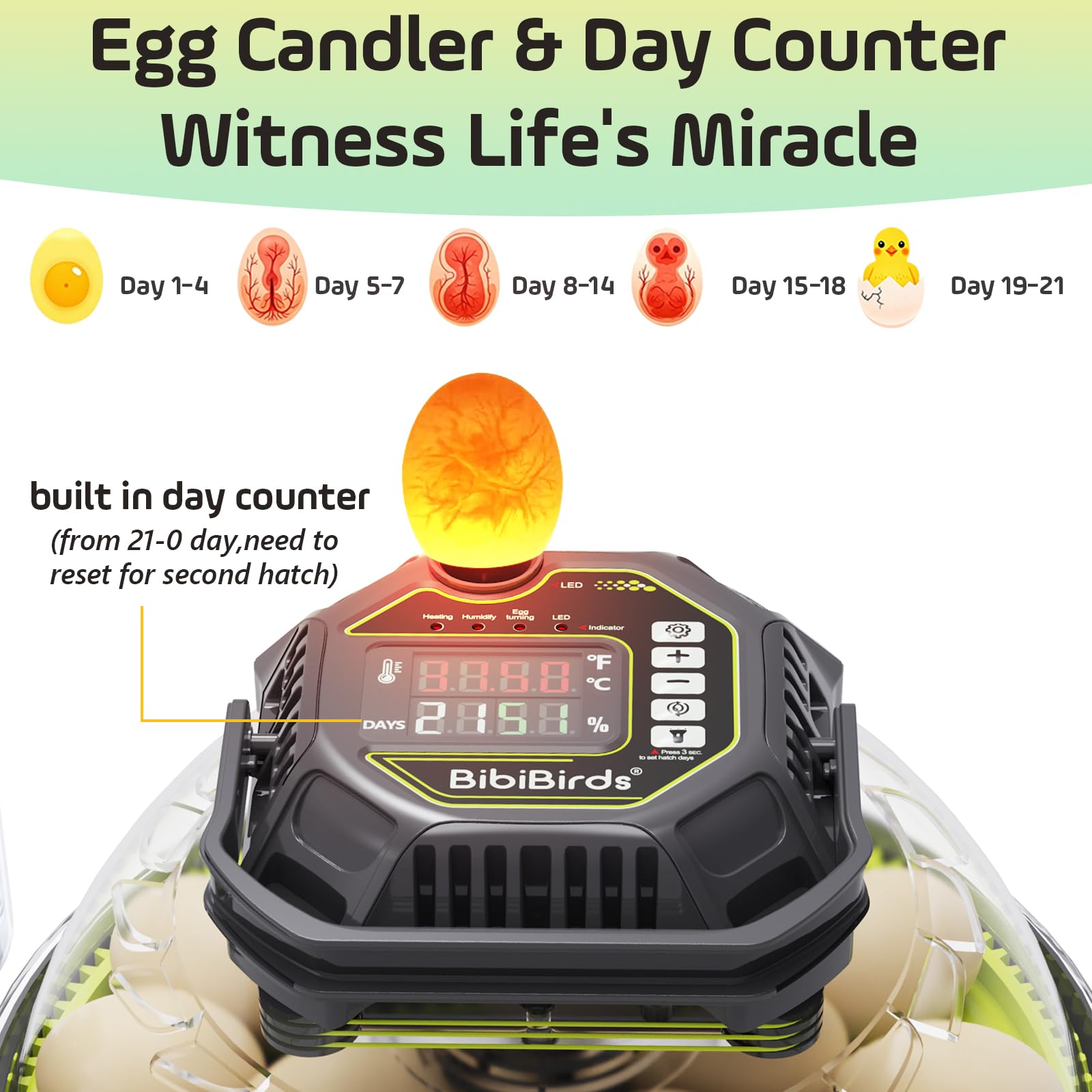 Incubadora de 18 huevos con contador automático de días de giro de huevos y atomizador para control automático de humedad, bloqueo de giro automático completo 3 días antes de incubar