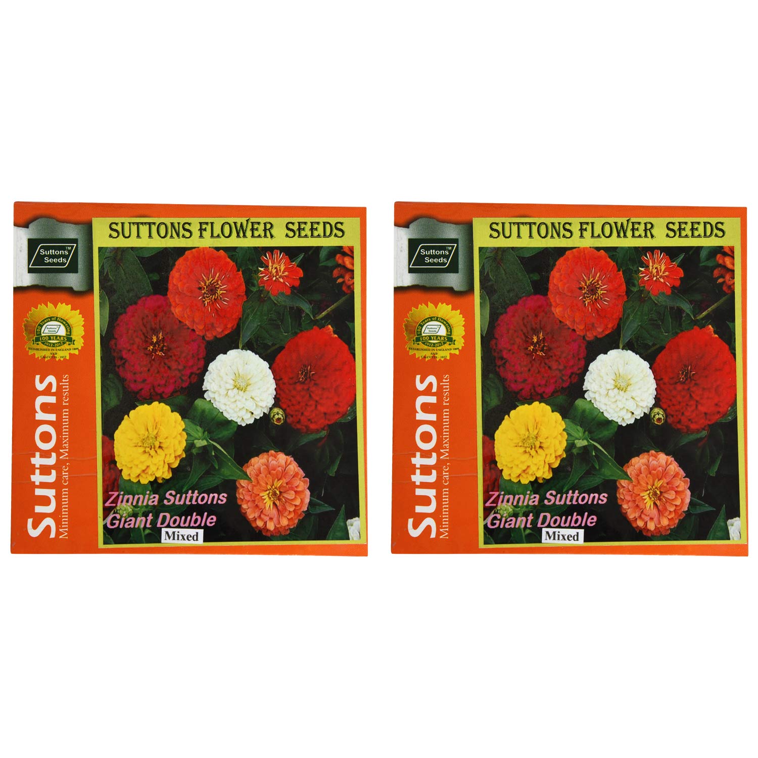 Suttons Zinnia Giant Double Mixed| Set of 2 (FZ115) (B08XJXWSBG) Amazon Price History, Amazon Price Tracker