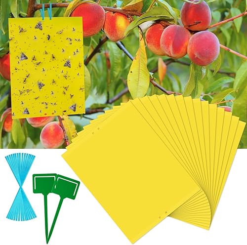 Paquete de 24 adhesivos para moscas de la fruta, hongos y mosquitas, trampa amarilla pegajosa, insecticida para interiores y exteriores