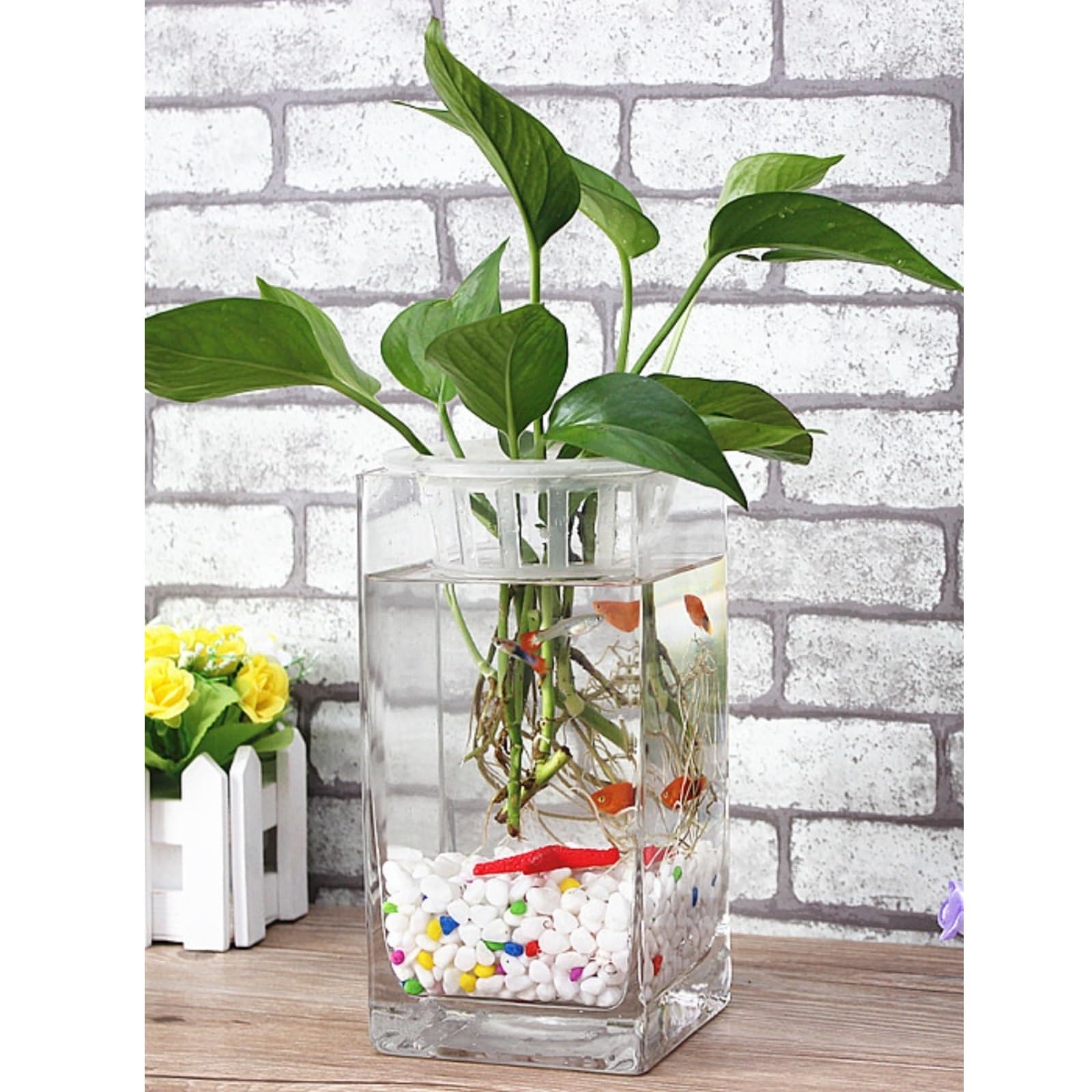 Boccia per pesci d'acquario Vaso for pesci in vetro addensato Piccolo acquario quadrato trasparente for da tavolo decorativo for fiori in for la casa
