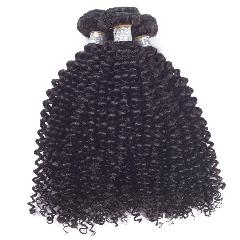 REINE Hair New Brazilian Virgin Hair Pineapple Wave Human Hair 3pcs Bohemian Curly