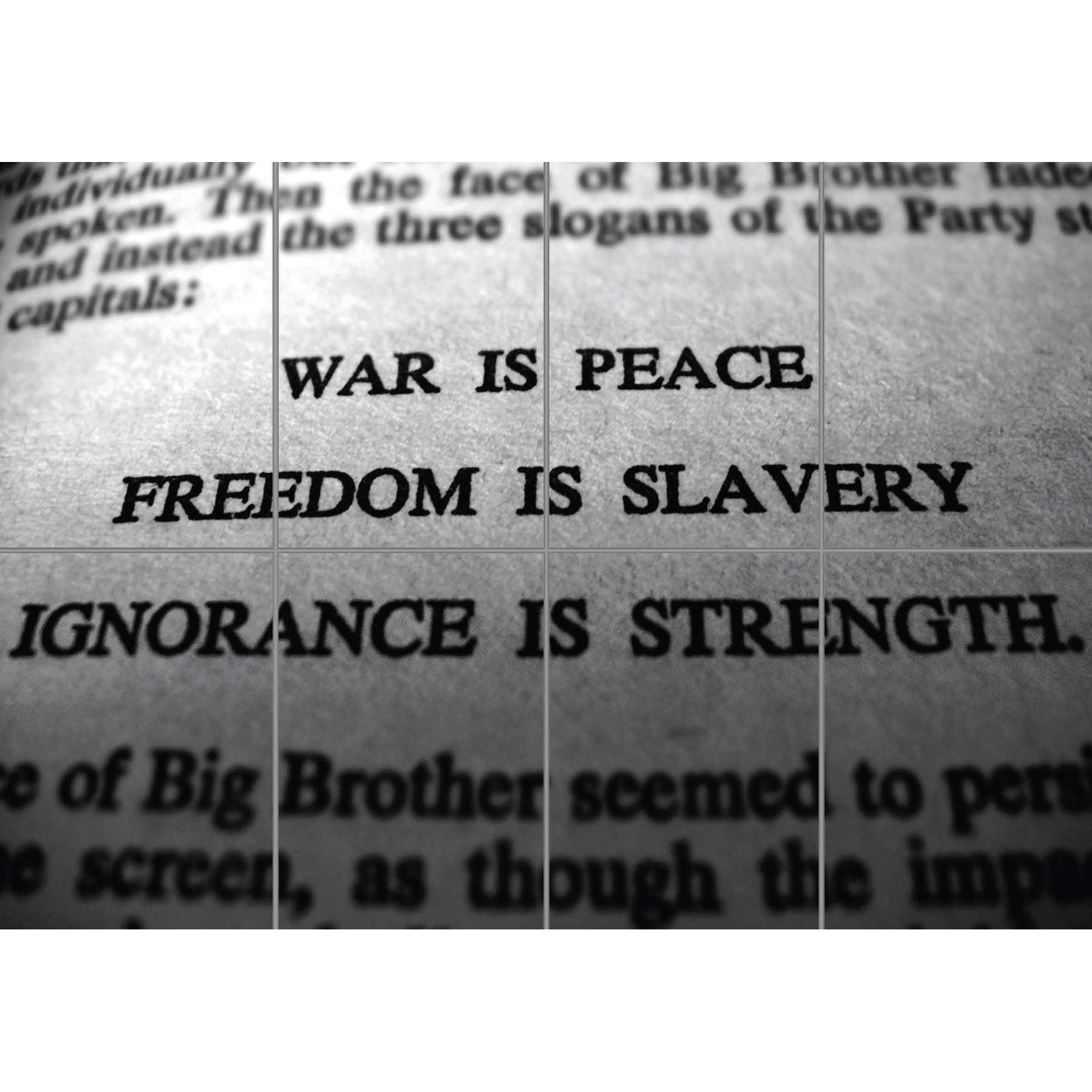 Doppelganger33 LTD Big Brother 1984 George Orwell Novel Page War Peace Freedom Slavery XL Giant Panel Poster Art Print (8 Sections)