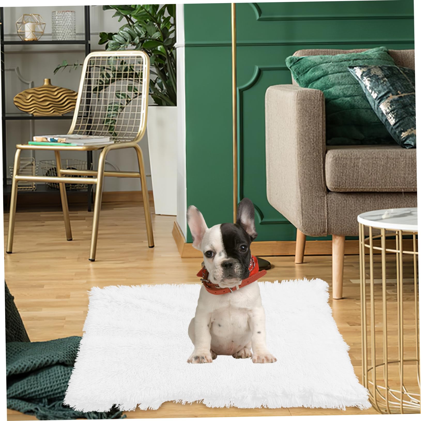 BESPORTBLE 3 Piezas Alfombra para Mascotas Perrito Estera De La Cama del Perro De La Felpa De o De Peluche Pequeña para Mascotas Estera para os Sherpas