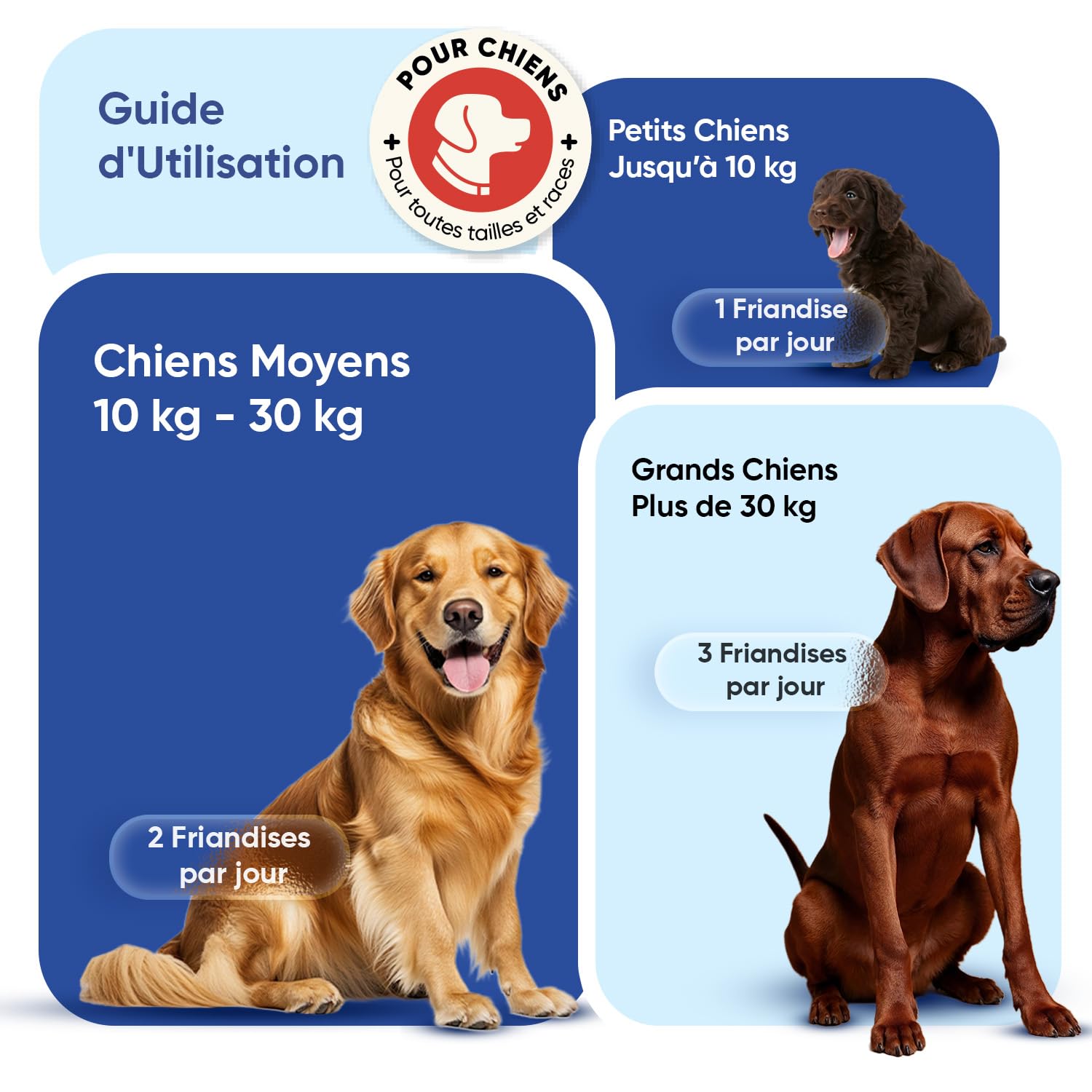 Animigo Vitamine pour Chien 18-en-1, Vitamine A B C D E, Fer, Zinc, Calcium, 120 Friandises pour Chien, Huile de Saumon, Graines de Lin - Friandises pour Toutes Tailles & Races, Fabriqué dans l'UE
