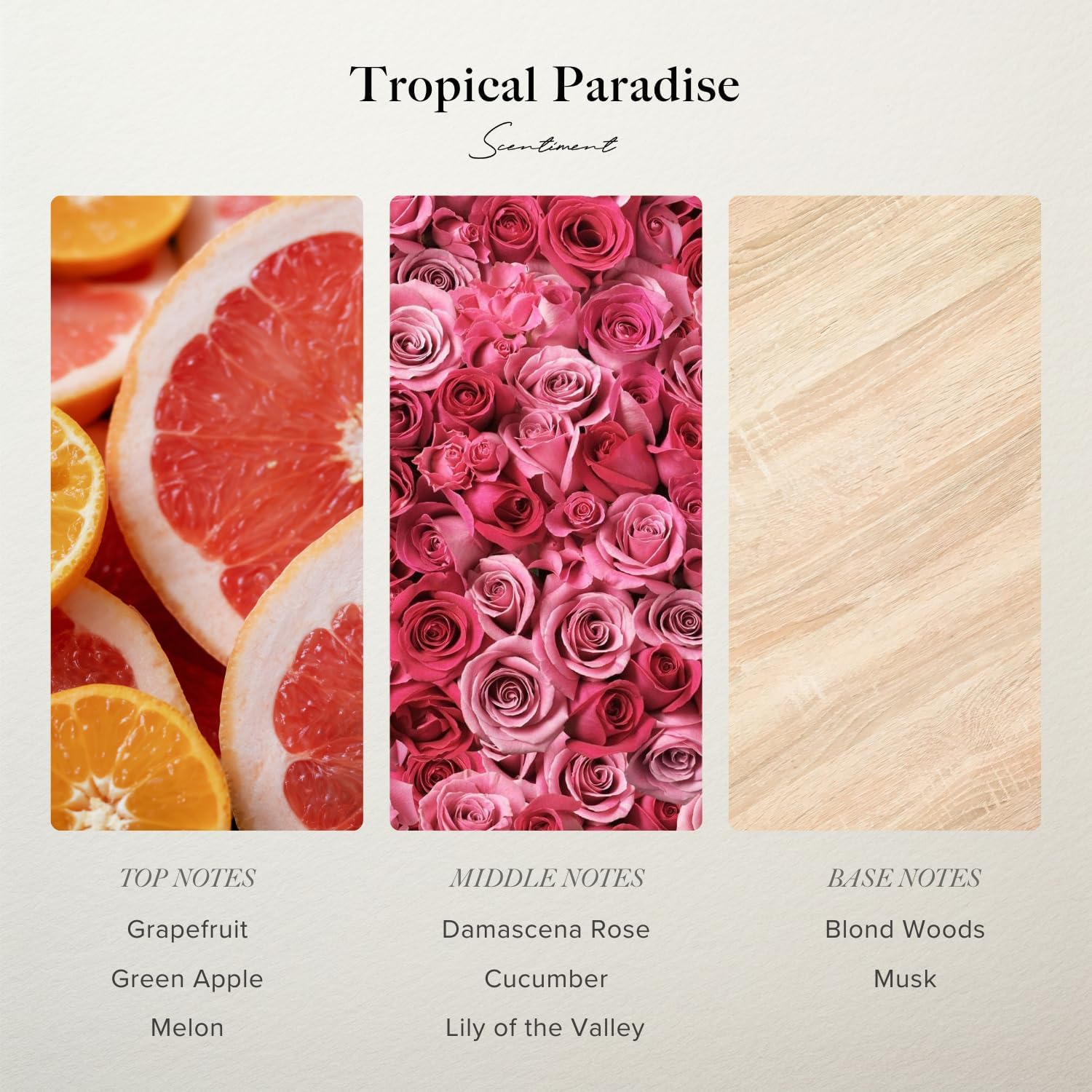 Scentiment Diffuser Oil - Tropical Paradise | Aromatherapy Fragrance Inspired by 5-Star Hotels | Luxurious Scent with Notes of Grapefruit, Green Apple, Musk (20 mL) - Image 2