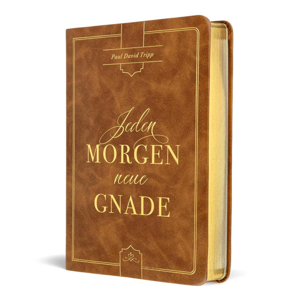 Jeden Morgen neue Gnade: Tägliche Andachten mit dem Evangelium im Zentrum