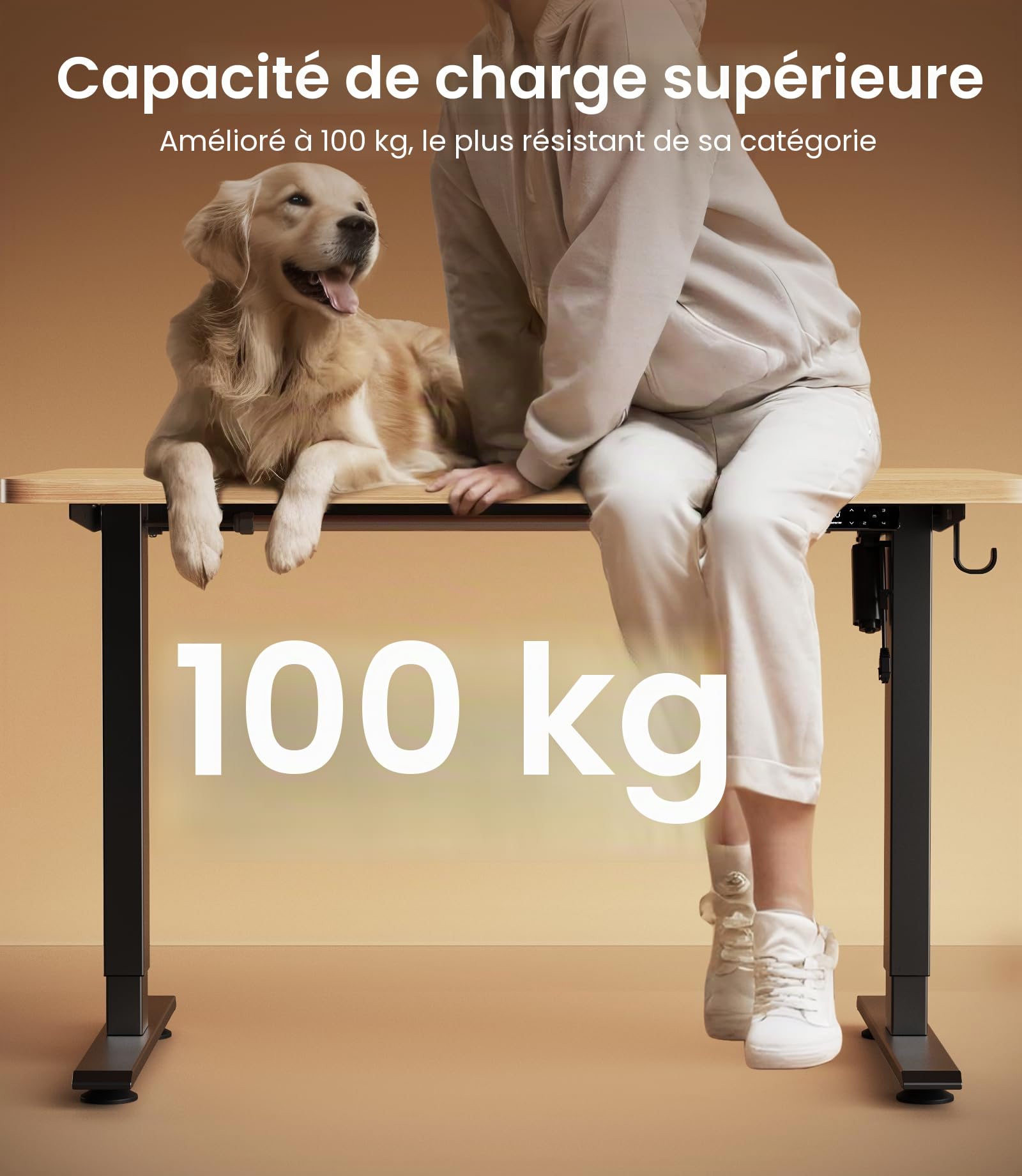 MAIDeSITe Bureau Assis Debout Electrique Réglable à 2 Étages en Hauteur avec 4 Claviers à Mémoire Automatique Cadre de Bureau (Noir), pour Écriture, Industriel, 70-120 cm