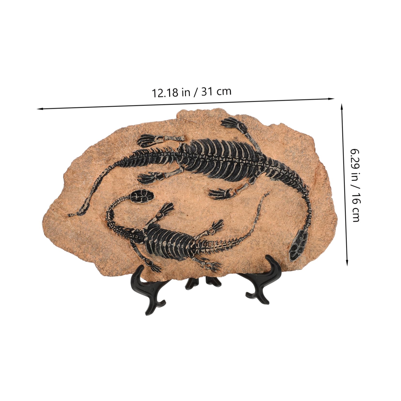 Scheletro Di Dinosauro Di Dinosauro Dindosale Per La Collezione Di Decorazioni Modelli A Spirale Giocattoli Didattici Per Ragazzi E Ragazze Esemplare Da Scrivania Decorativo