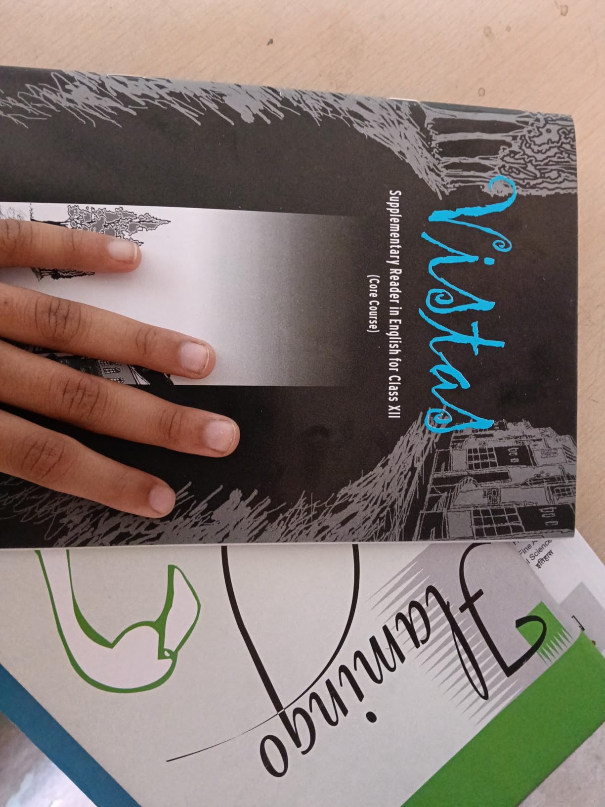 NCERT Textbooks in English for Class 12 - Flamingo and Vistas