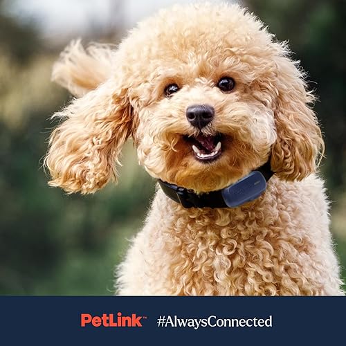Miniatura 7 de PetLink Rastreador de perros GPS - Collar rastreador de mascotas en tiempo real - Rastreador GPS impermeable para perros con valla virtual