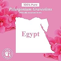Vista 8 de Handcraft Blends Aceite Esencial de Geranio – 1 Fl Oz – 100% Puro y Natural – Aceite Esencial de Grado Premium para Difusor y Aromaterapia, Piel