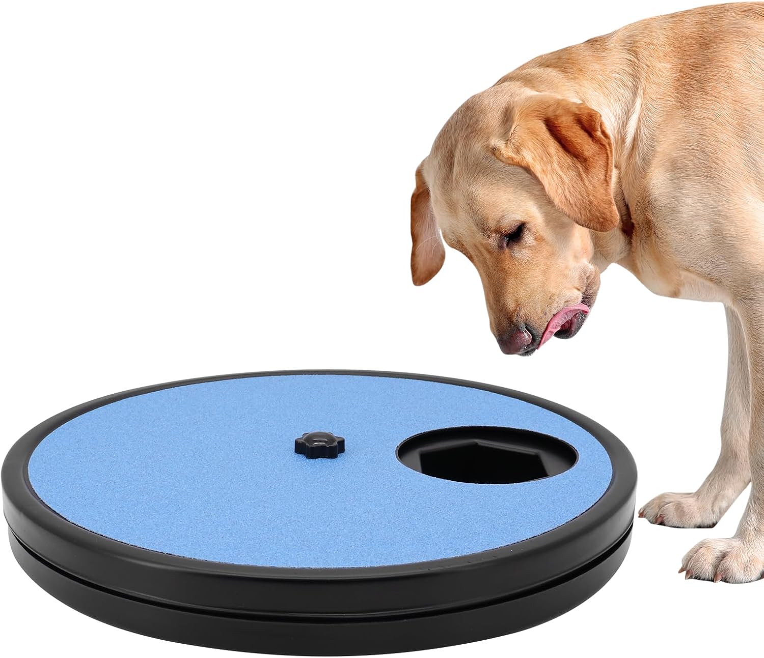 Beowanzk Dog Nail File Board (Builtin 6 Compartments for Dog Food