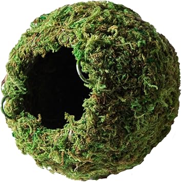 Galapagos 05346 Mossy Cave Hide, 4", Green