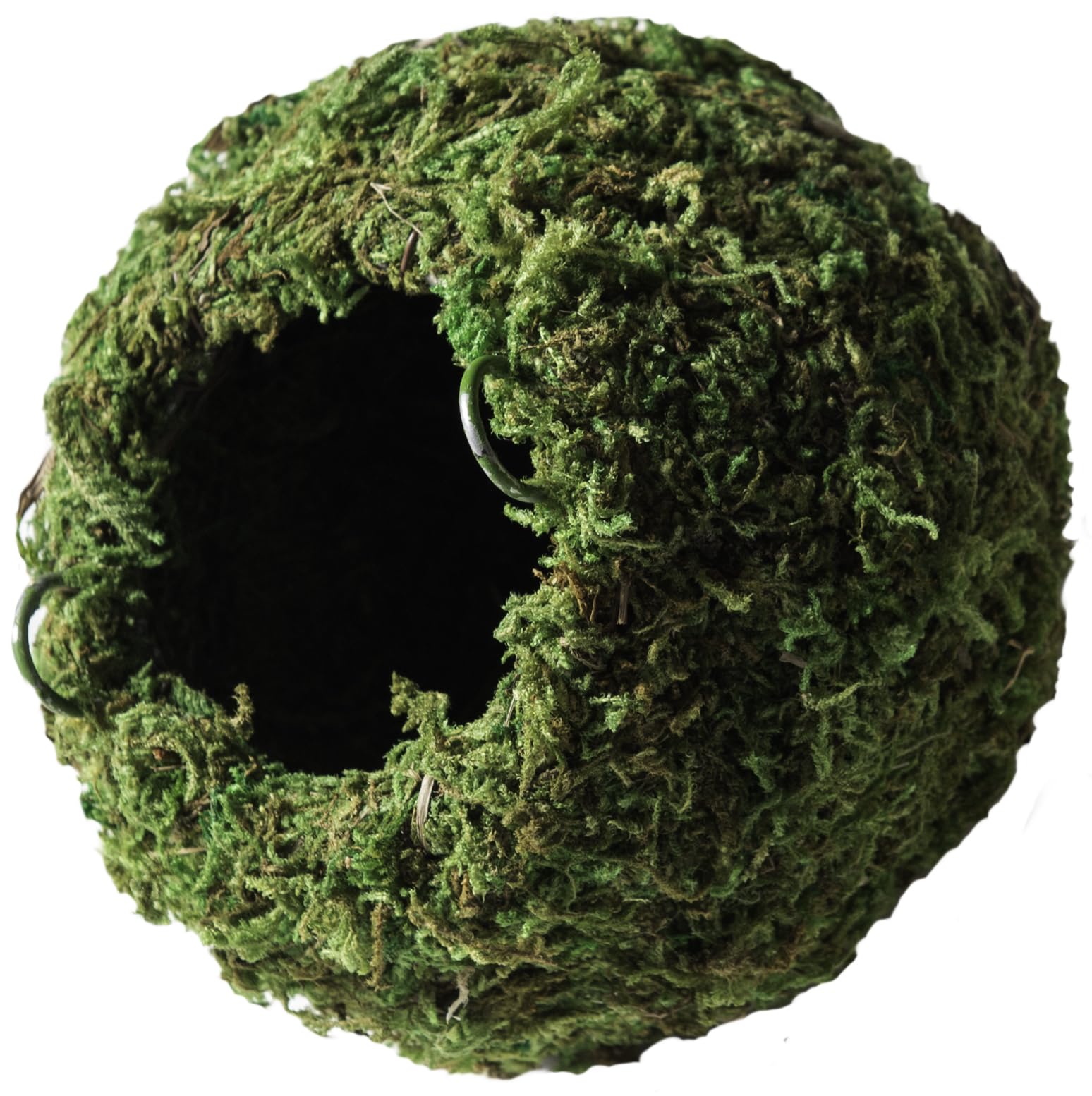 Galápagos (05346) Mossy Cave Hide, 4", Green