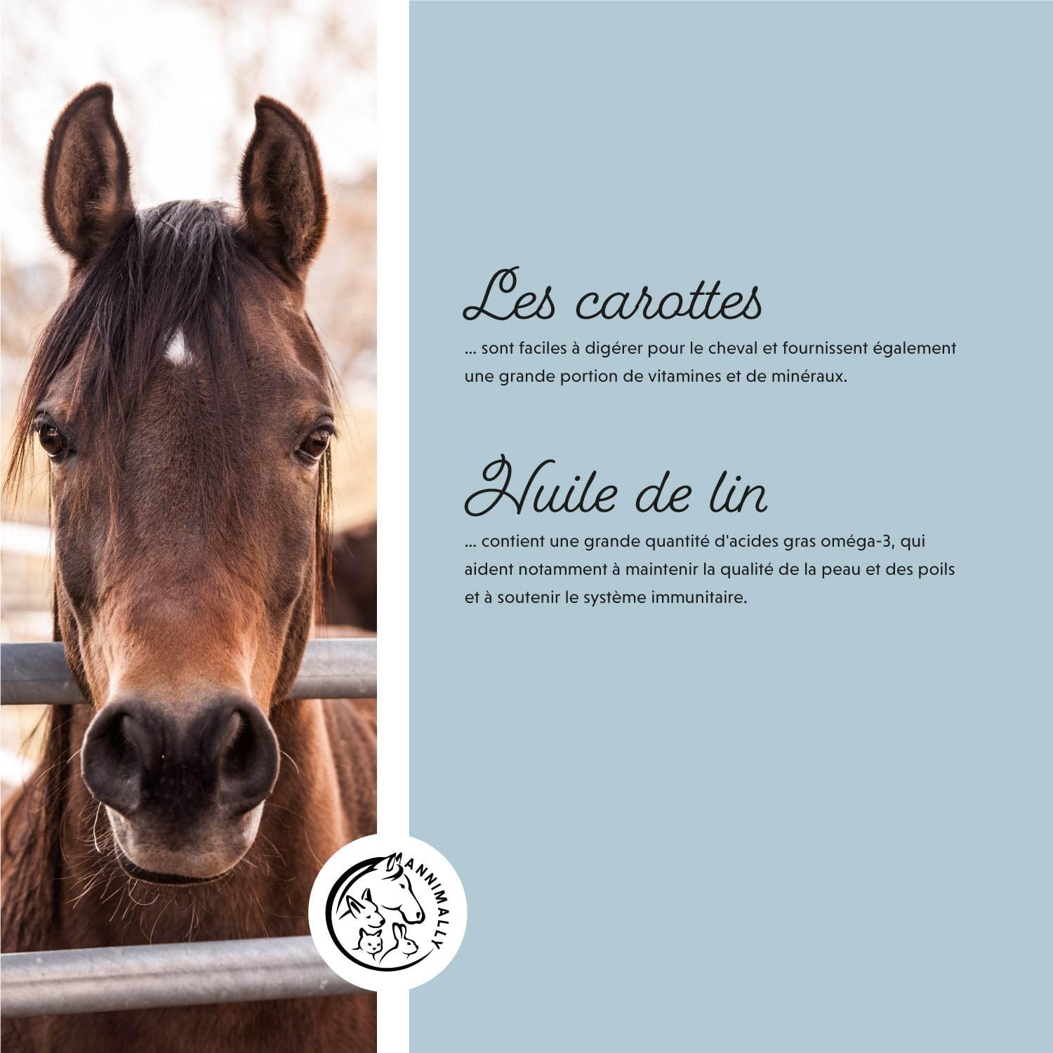 Annimally Sélénium, Vitamine E, L-Lysine Poudre pour Chevaux 800g - Complexe de Vitamine E, L-Lysine et Sélénium pour Soutenir la Musculature et Les Performances - Complément Alimentaire pour Cheval