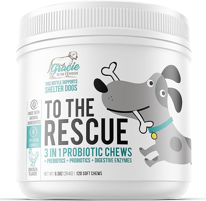 Probiotic Chews for Dogs, Support Digestive Health, Dog