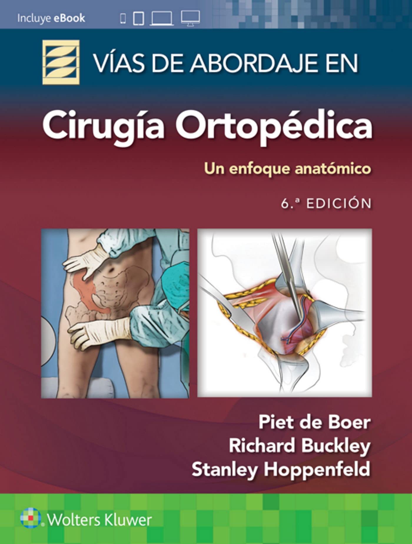 Vías de abordaje de cirugía ortopédica. Un enfoque anatómico (Spanish Edition)