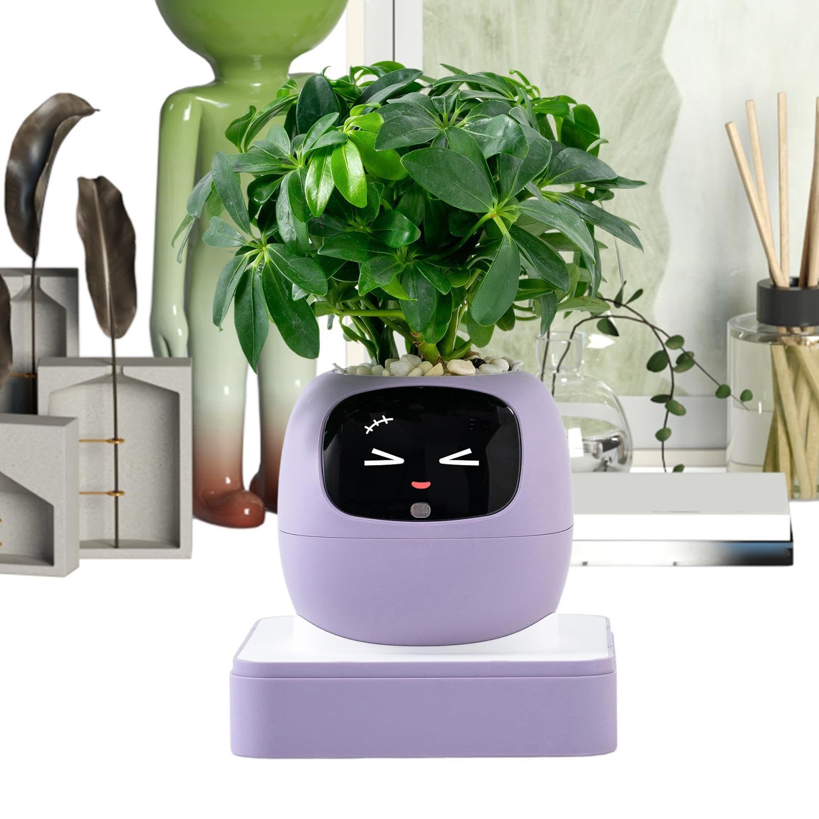 Pot de Intelligent Conseils D'Entretien Des Et Styles Multiples | Pot De Fleurs Pothos Pour Intérieur, Bureau, Salon, Chambre, Balcon, Terrasse, Débutants, Anniversaire Et Saint-Valentin
