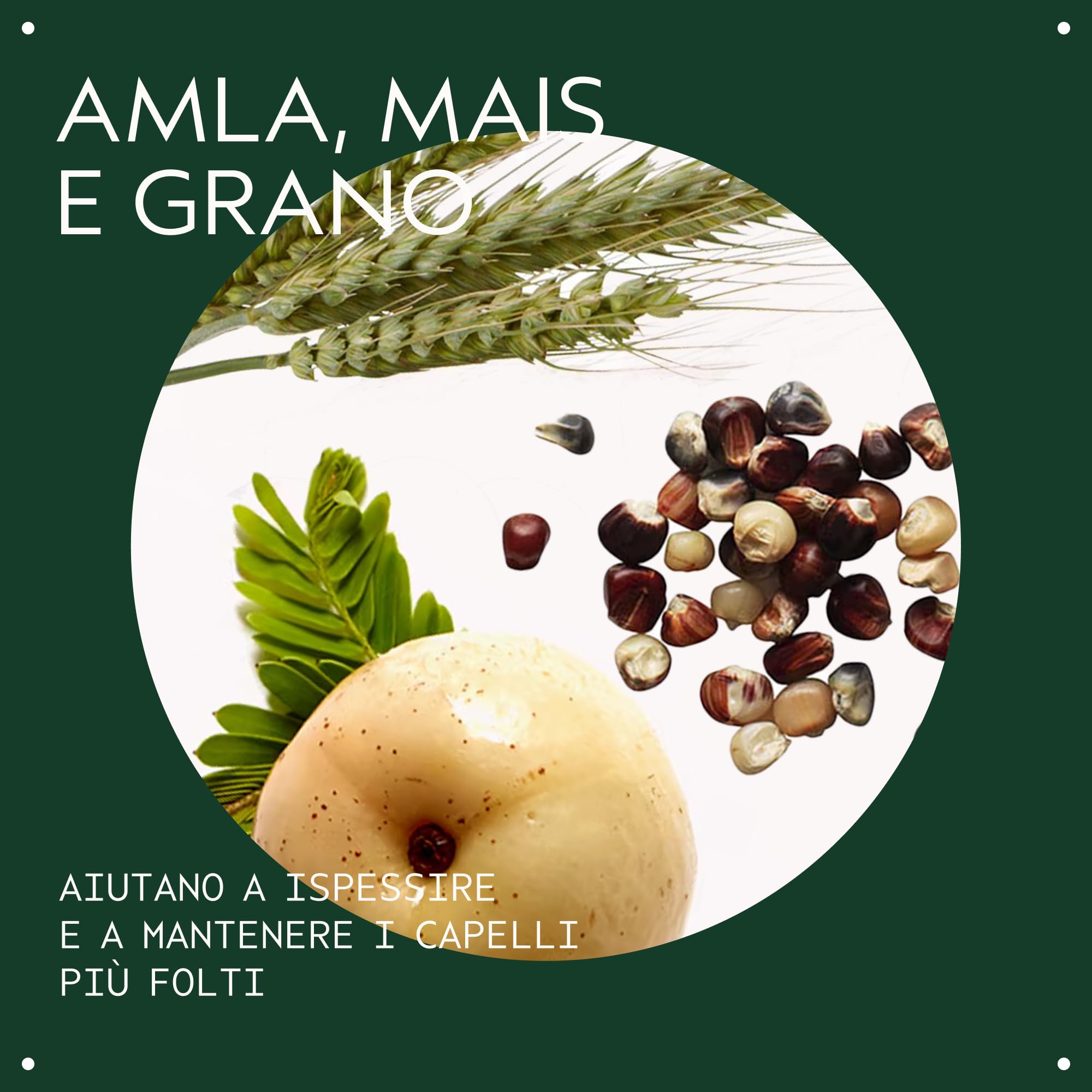 Aveda Thickening Tonic™ - Spray che dona volume istantaneo ai capelli - Per capelli sottili - Con amla biologica certificata (100 ml)