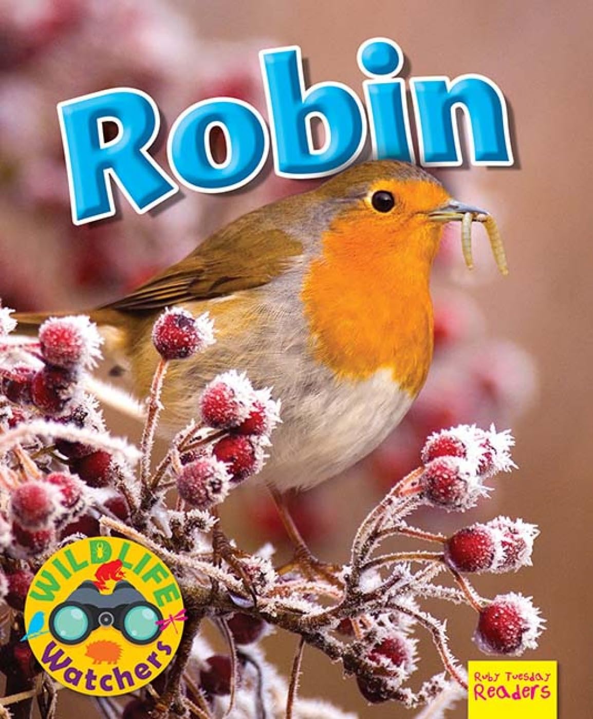 Wildlife Watchers: Robin by Ruth Owen - 9781911341178