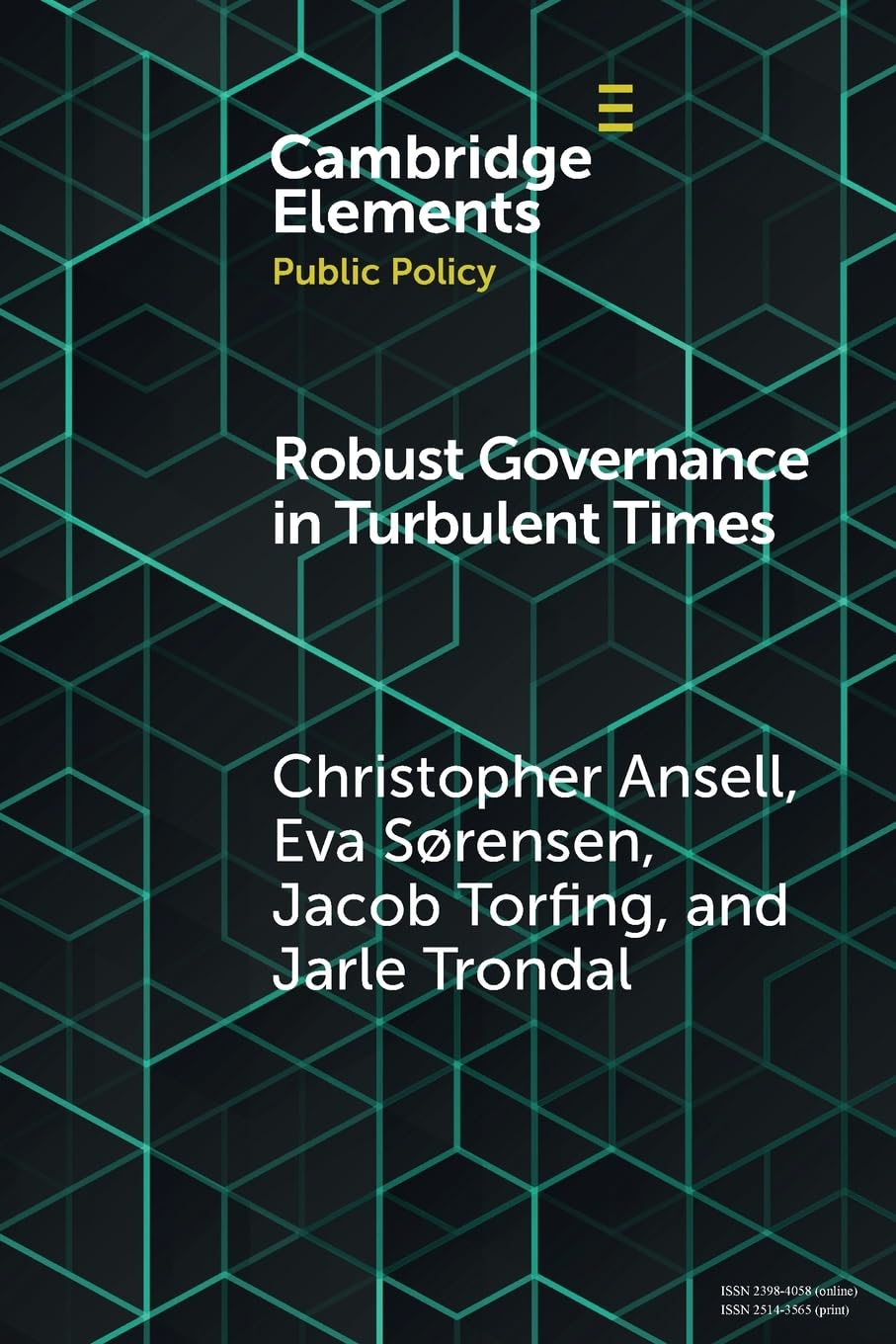 Robust Governance in Turbulent Times (Elements in Public Policy)
