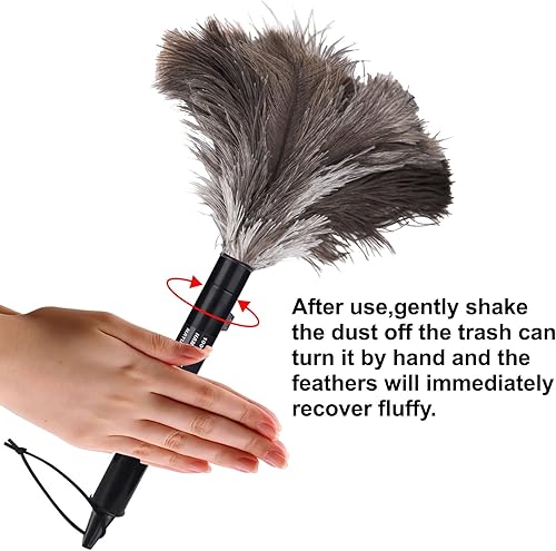 Miniatura 3 de Aldwin Plumero retráctil de avestruz, paquete de 2 plumeros retráctiles, de 16 pulgadas, auténticos, esponjosos, naturales, para suministros de