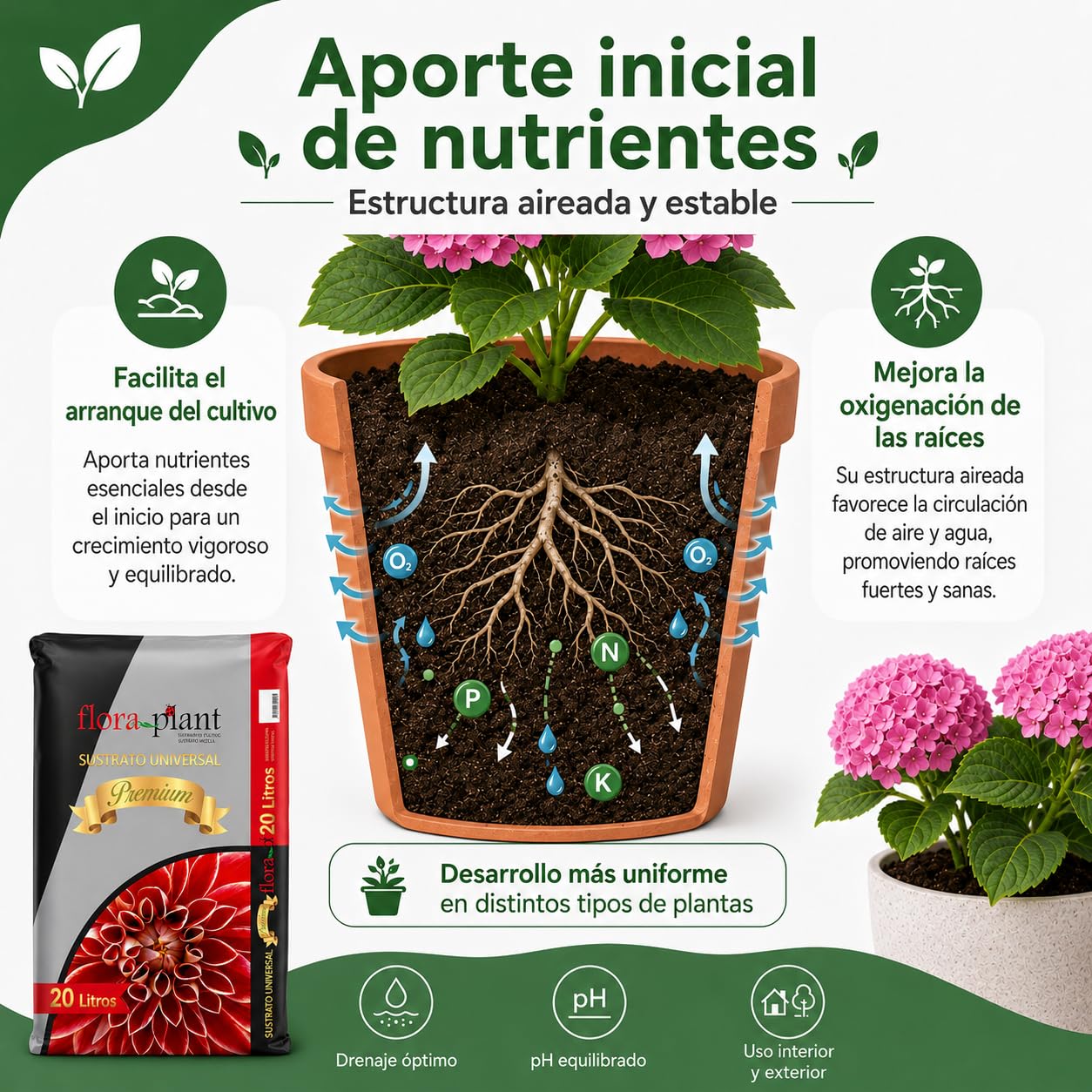 FLORAPL20 Sustrato Universal 20 L, Marrón (4 Unidades)