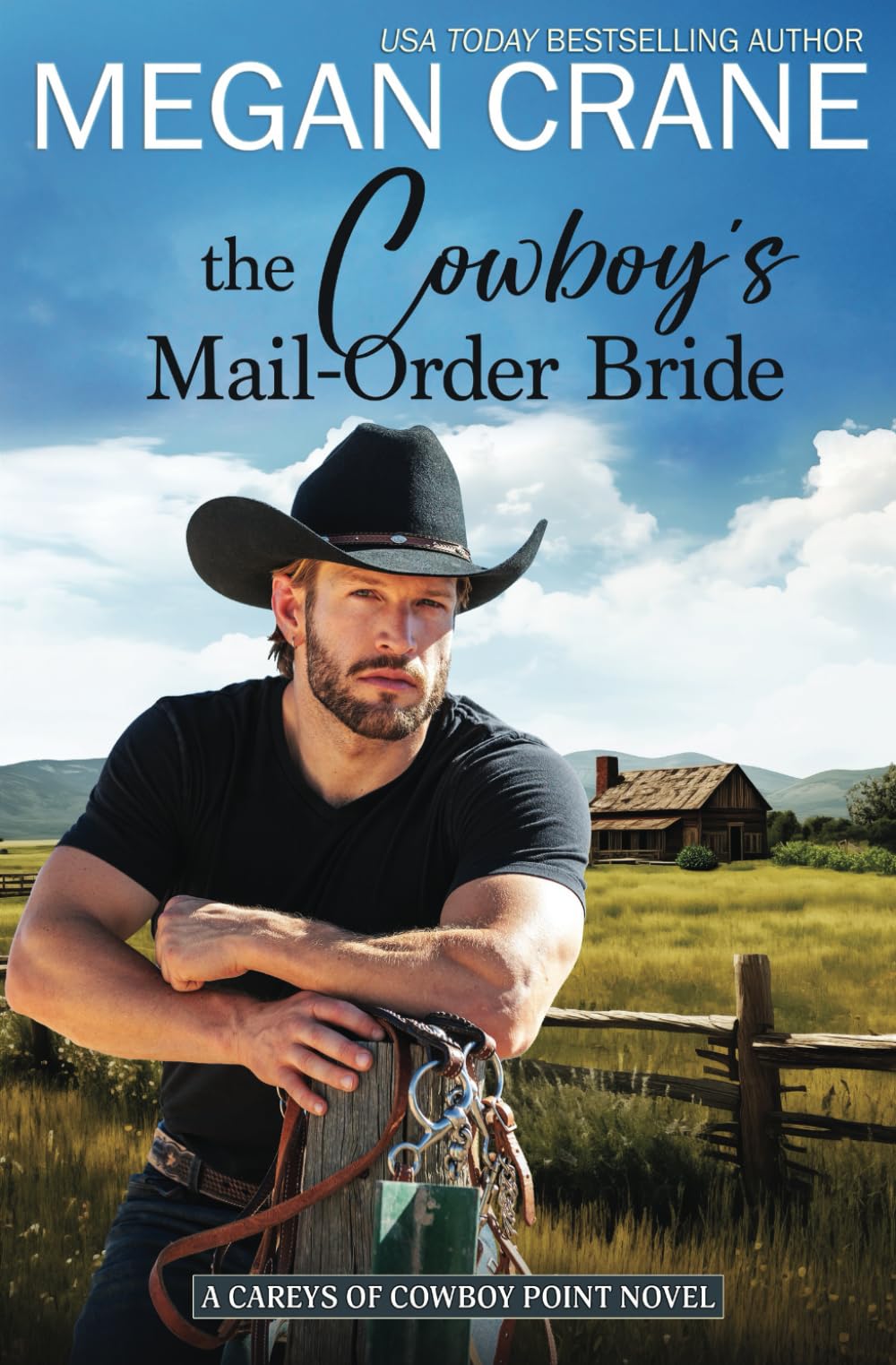 The Cowboy's Mail-Order Bride (The Careys of Cowboy Point)