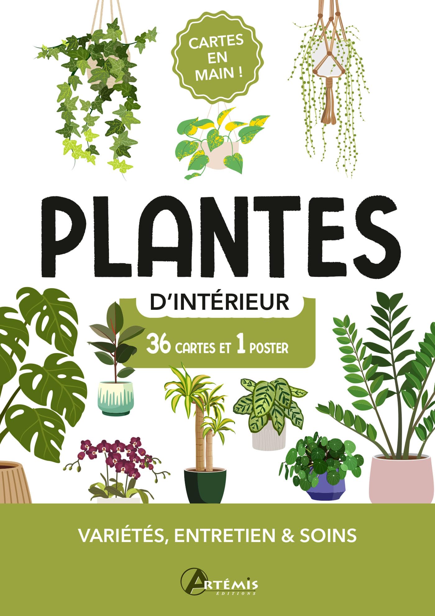Plantes d'intérieur: Variété, entretiens et soins