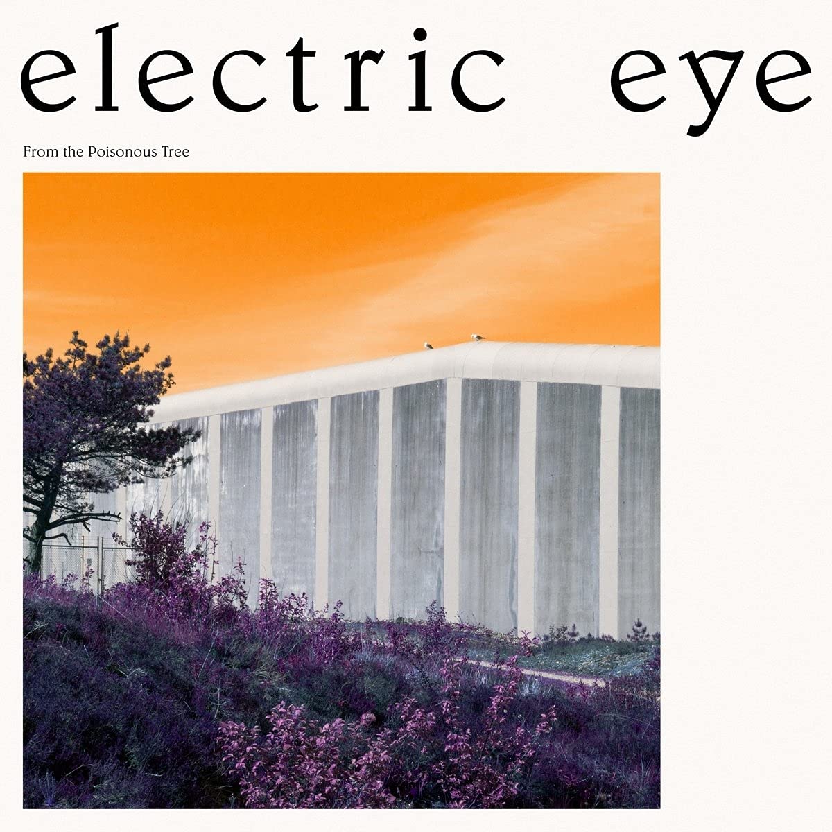 From The Poisonous Tree [VINYL]