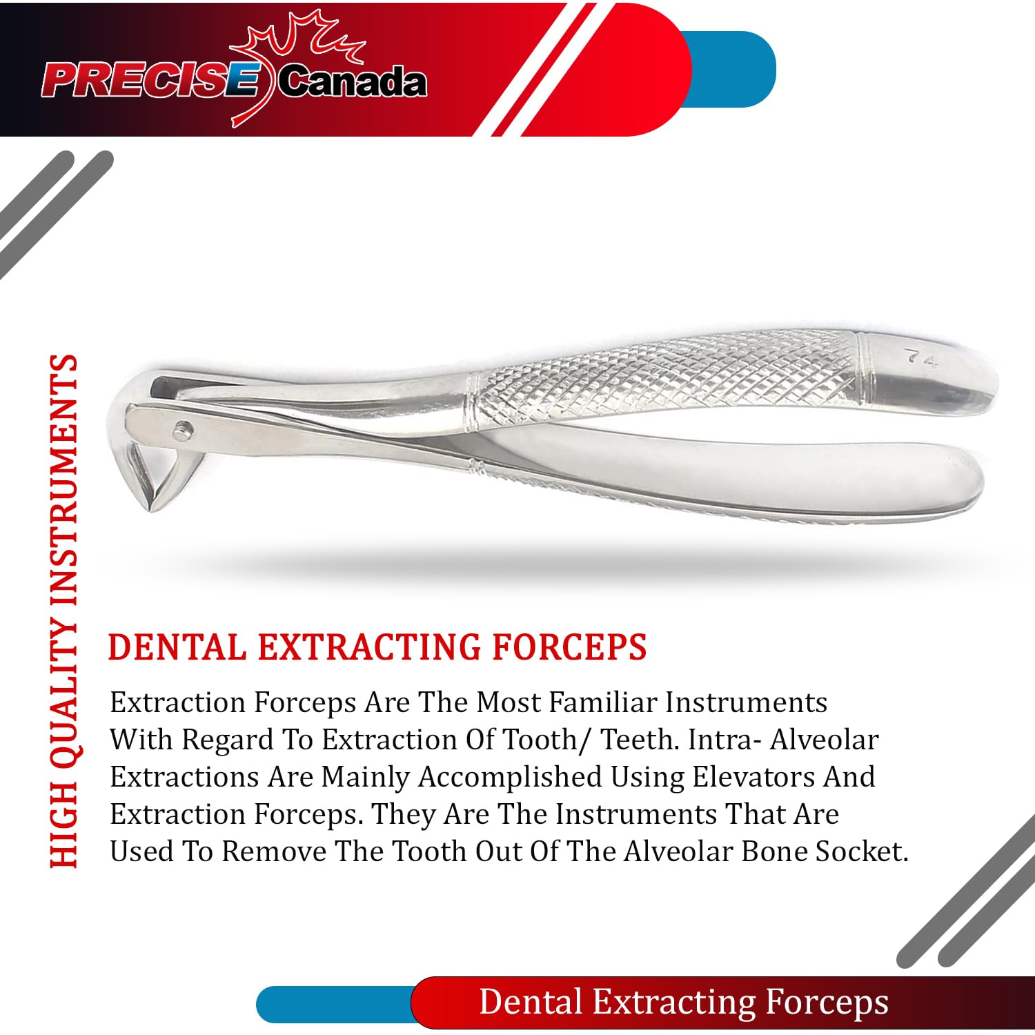 PRECISE CANADA: EXTRACTING FORCEP English Pattern Roots & Molar #74