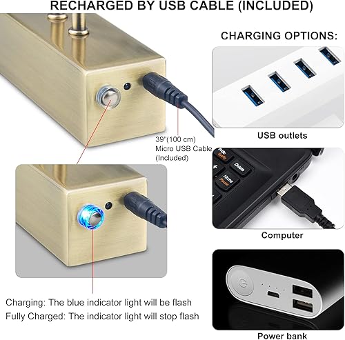 Miniatura 5 de Luz de imagen, 13 pulgadas, funciona con pilas, para pinturas, exhibición remota de metal, luz artística con temporizador y regulable para pintura
