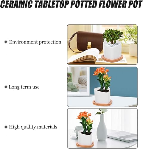 Miniatura 4 de Happyyami Tooth Creative Flowers Pots Flower para Vase Heart Cute Macetas Vases Shape Succulent Cylinder Plant Ceramic with White Mini Flowerpot