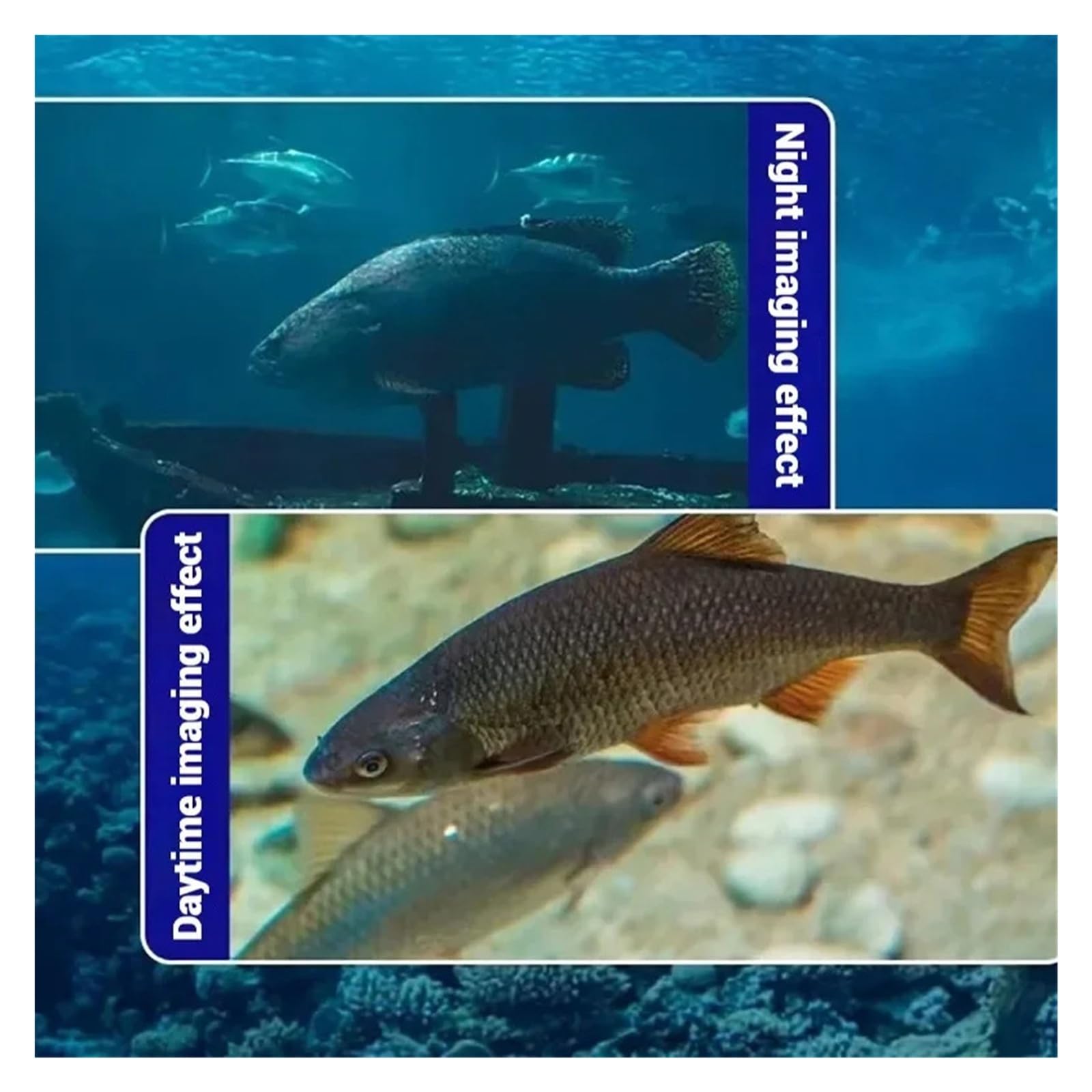 Caméra de pêche sous-Marine HD avec écran LCD de 4,3 Pouces et Vision Nocturne, équipement Complet for 15 m/20 m/30 m/50 m
