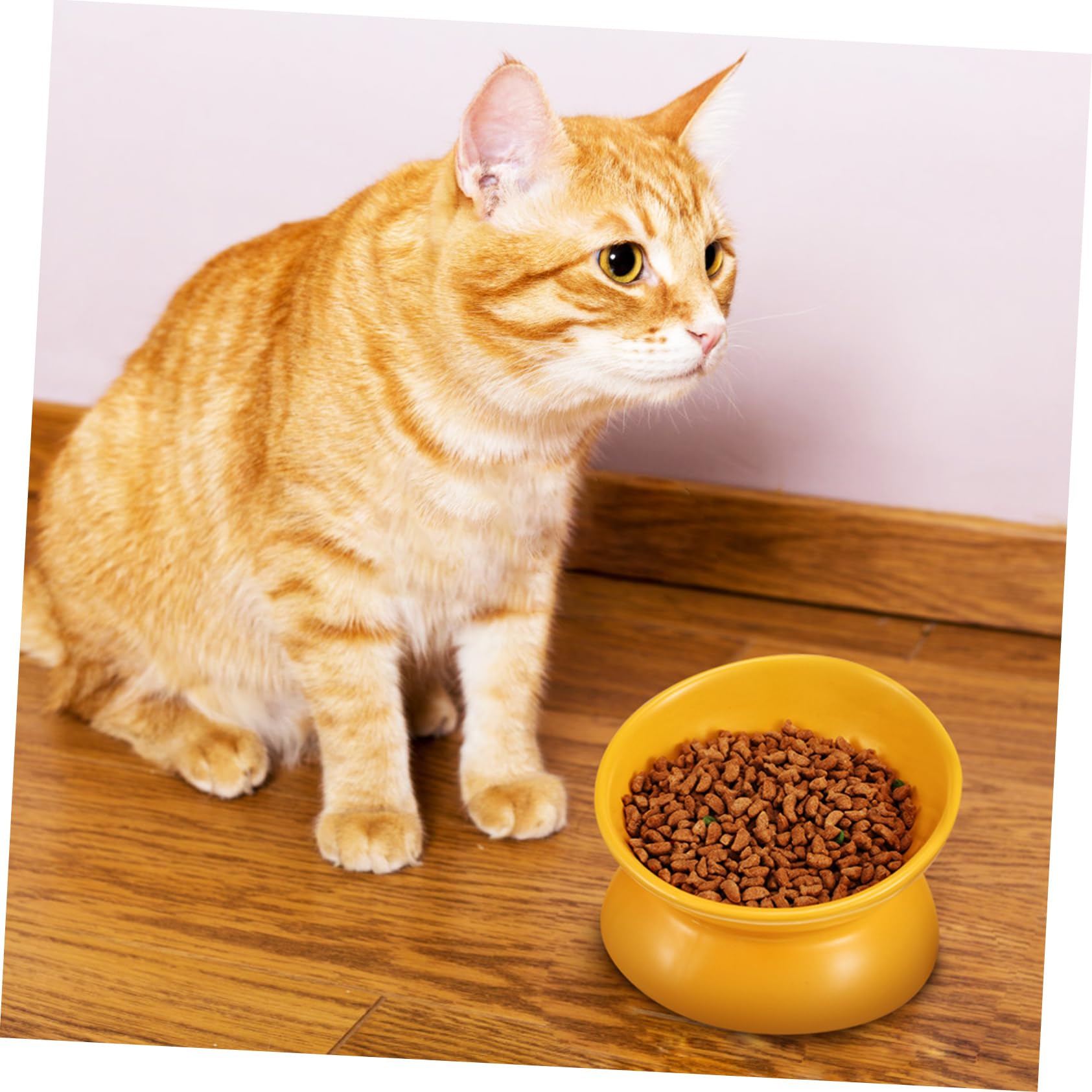 Erhöhter Keramik Futternapf für Katzen und Haustiere Orange