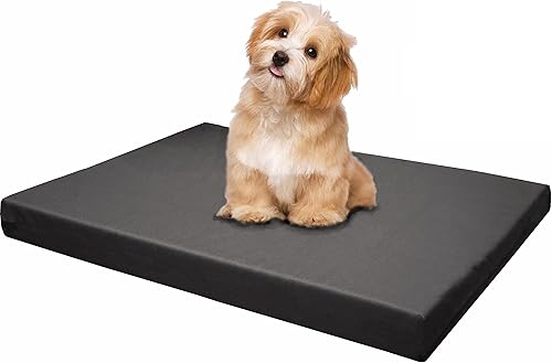 Dogbed4less Cama para perro con plataforma de espuma viscoelástica, colchón para alivio ortopédico de las articulaciones con funda extraíble