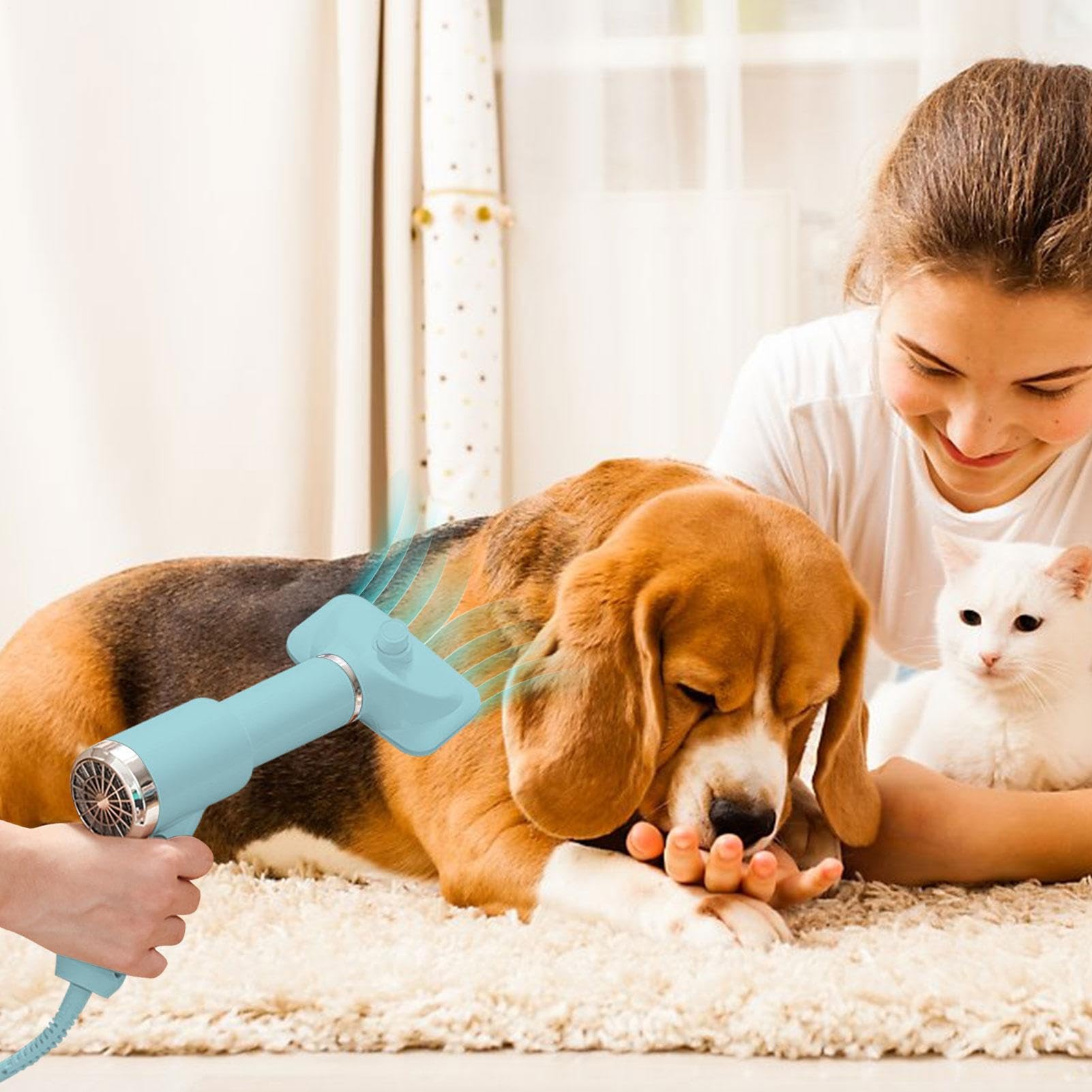 Sèche-cheveux détachable pour animal domestique - Sèche-poils de chat | toilettage pour animaux domestiques - 2 en 1 - Souffleur pour chien avec brosse à lisser, souffleur silencieux avec bouton