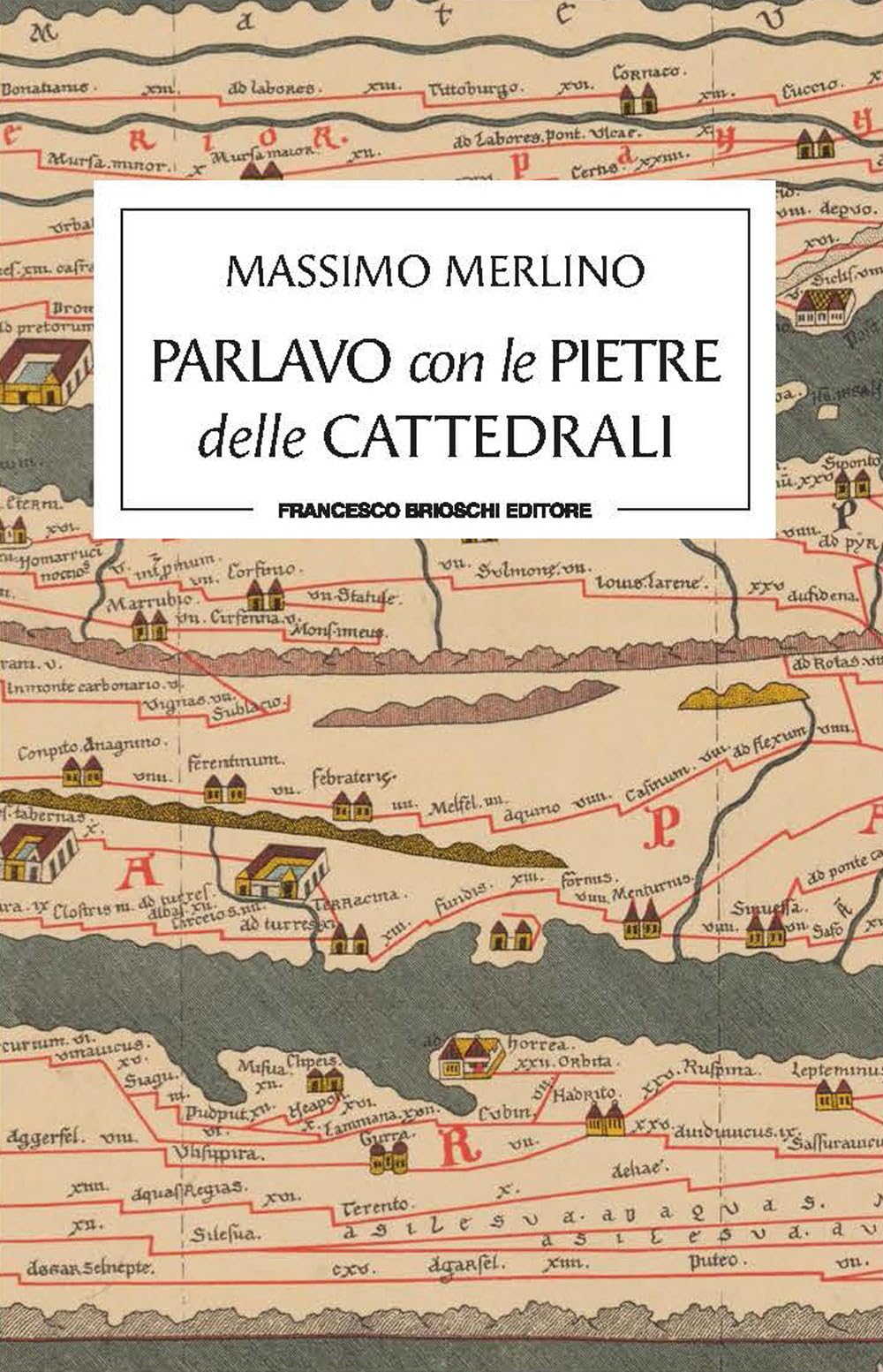 Parlavo Con Le Pietre Delle Cattedrali - 4