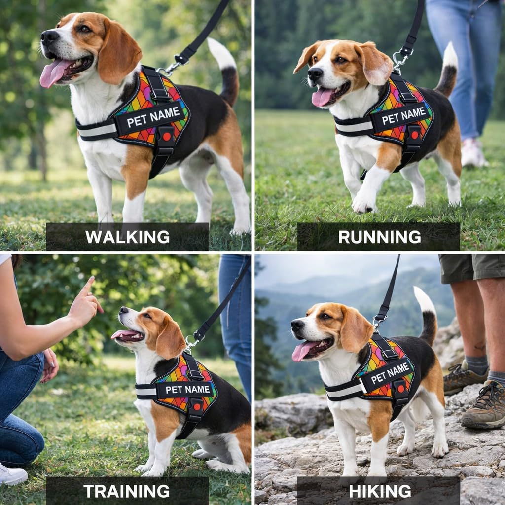 Berlin's PET ACCESSORIES Pettorina per cani personalizzata con nome e numero di telefono, gilet antitiro, pettorina riflettente a prova di fuga, toppe personalizzate con retro a gancio (arcobaleno, M