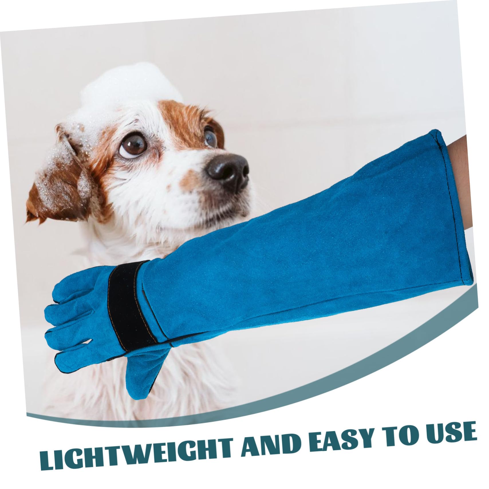 Moufles de Protection en Cuir de Vache pour Chien et Serpent, Ajustables