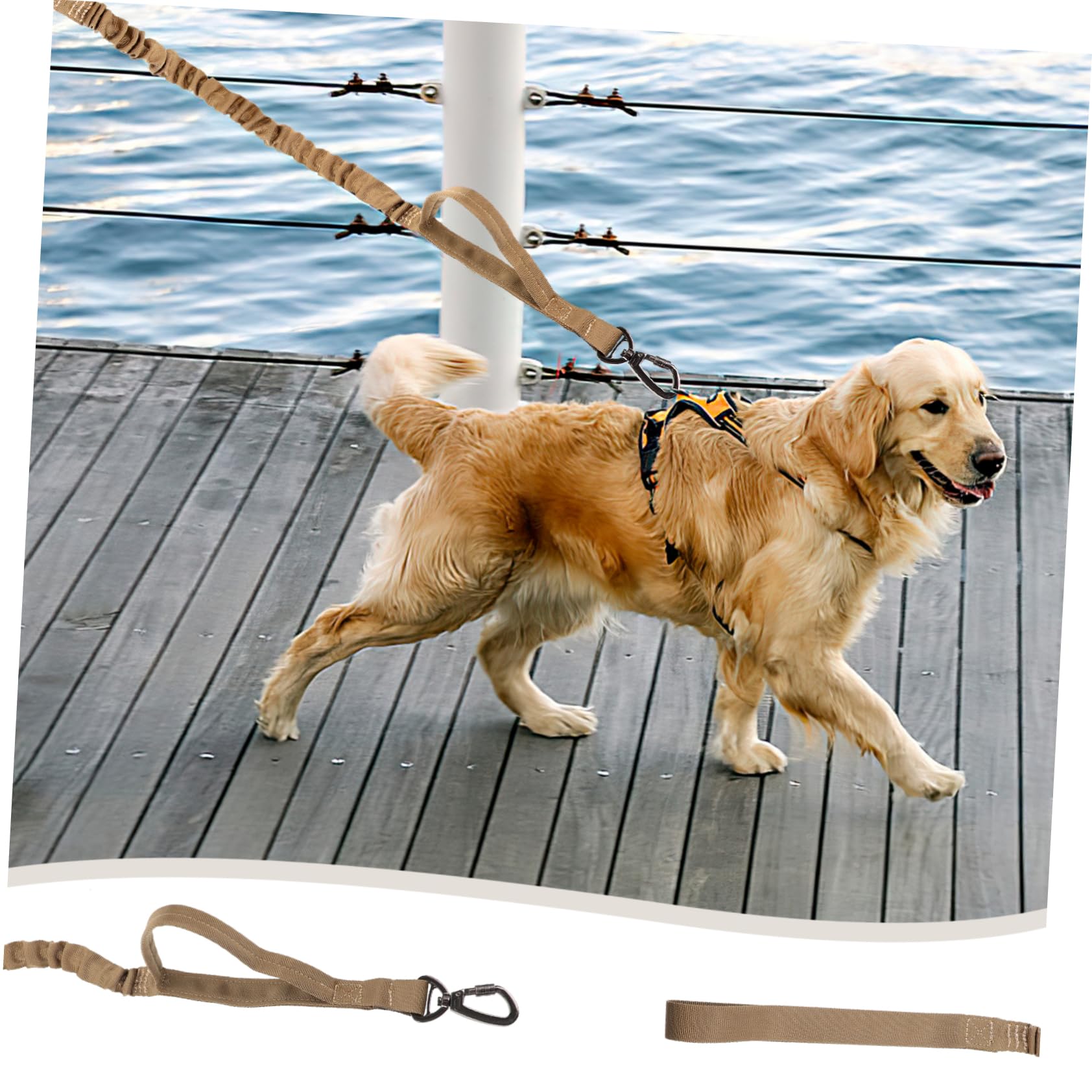 Beavorty Guinzaglio Da Addestramento Per Cani in Nylon Regolabile Da 3 Pezzi Robusto Confortevole E Con Rilascio Rapido Per Attività Allaperto