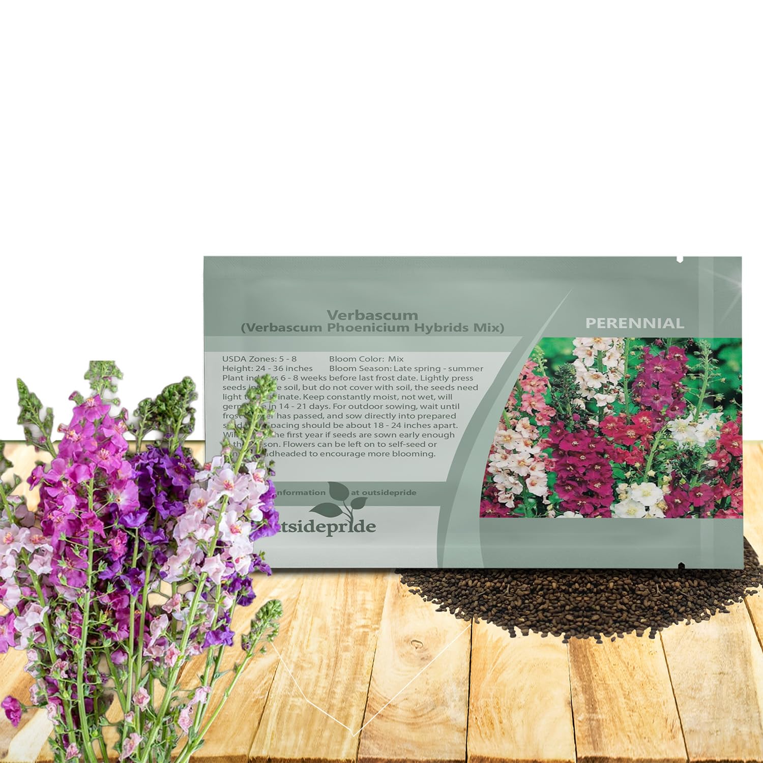 Sweetheart Kisses Moss Verbena Seeds - 200 Seeds Hardy, Drought-Resistant Annual Ground Cover w/Low Spreading Habit & High Heat Tolerance for Landscapes & Gardens (AAS Winner)