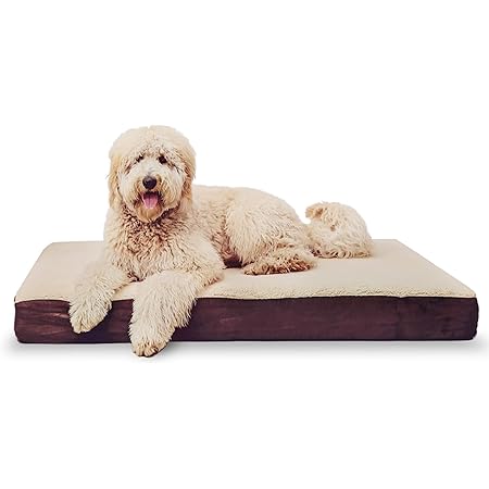 kopeks memory foam dog bed
