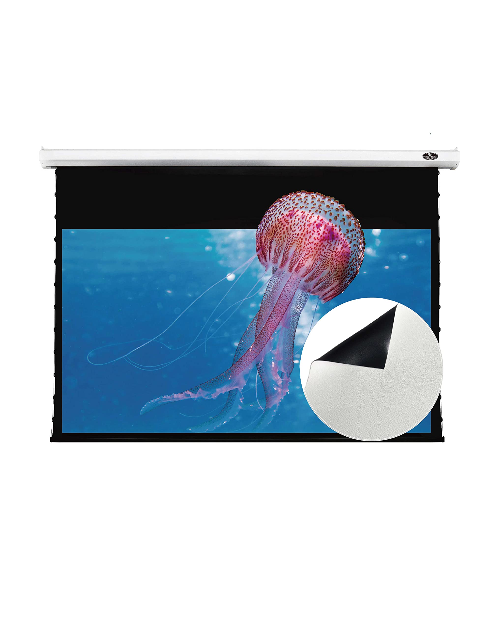 Buy VIVIDSTORM92"Movie Screens,Deluxe Tensioned Screen,Electric Tabtensioned Drop Down with