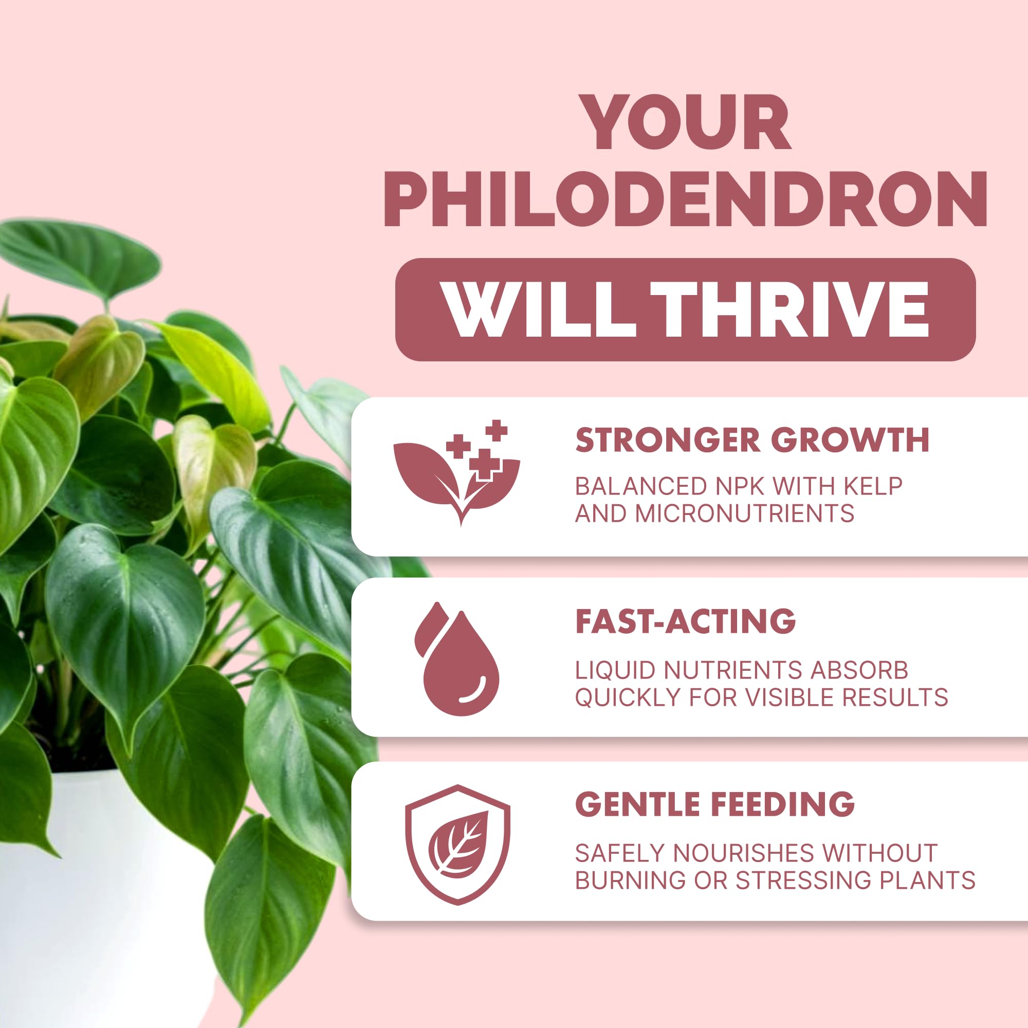 Amazon.com : Philodendron Fertilizer  Liquid Plant Food for Bigger Leaves,  Lush Foliage & Steady New Growth, 8 oz : Patio, Lawn & Garden